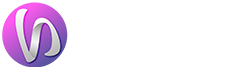 Visionary Digital Nexus Logo